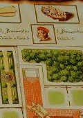 The Princes of Florence